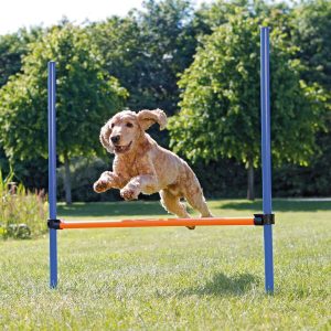 Agility aitaeste Trixie 123 x 115 cm