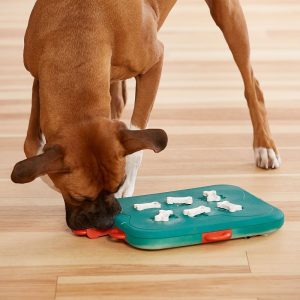 Aktivointilelu Dog Casino