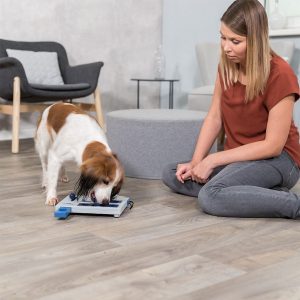 Aktivointilelu Trixie Mini Mover