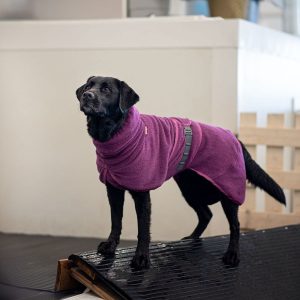 BathPomppa