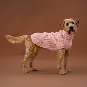Blush Pink Aran koiran alpakkaneule