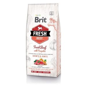 Brit Fresh Beef&Pumpkin PuppyLarge