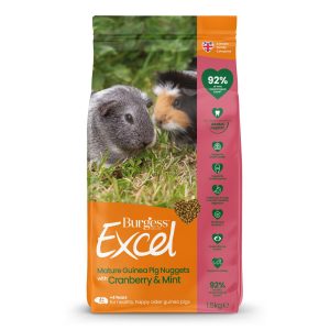 Burgess Excel Guinea Pig Mature Cranberry