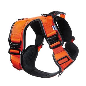 Cerberos Active valjaat