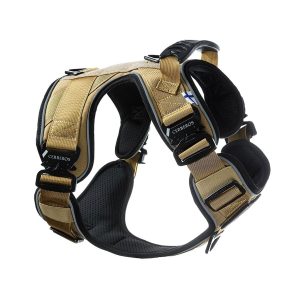 Cerberos Active valjas