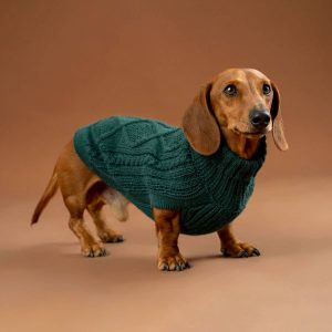 Emerald Green Aran koiran alpakkaneule