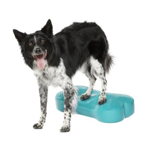 FitPaws K9FitBone