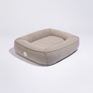 Frenchie peti