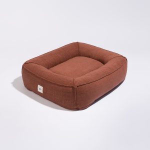 Frenchie peti