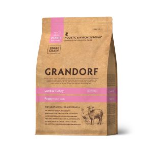 GRANDORF Puppy