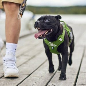 Hurtta Weekend Warrior II ECO valjas persilja