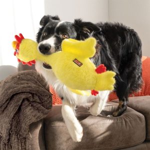 KONG Scruffs Kana
