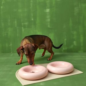 Käsintehty posliinikulho koiralle - Roosa