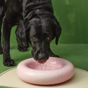 Käsintehty posliinikulho koiralle - Roosa