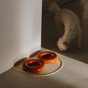 Käsintehty posliinikulho koiralle - Ruskea