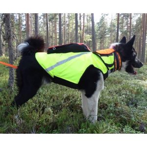 Kevlar-liivi koiralle
