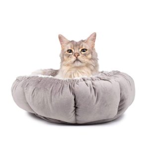 Kissanpeti Basic Multifunctional