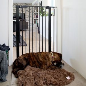 Korkea koiraportti DogSpace Bonnie 73