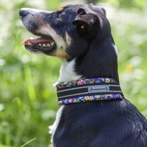Kusse&Kutta extraleveä lycra-panta