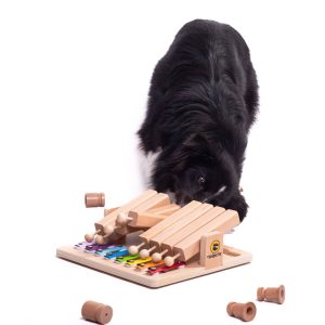 My Intelligent Dogs Piano – Älypeli koirille ja kissoille