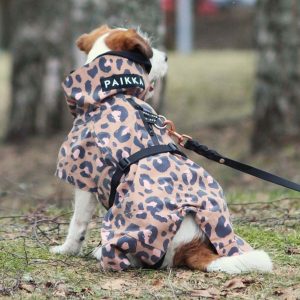 PAIKKA Visibility Raincoat Lite -koiran sadetakki