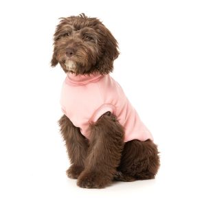 Paita koiralle FuzzYard Stevie