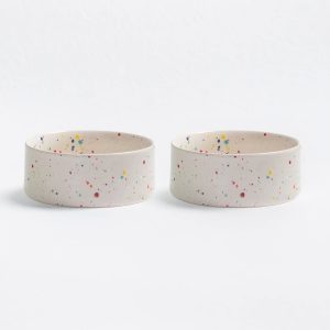 Party Bowl - koiran ruokakuppi