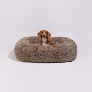 Pebble Flokati - pörröinen koiranpeti