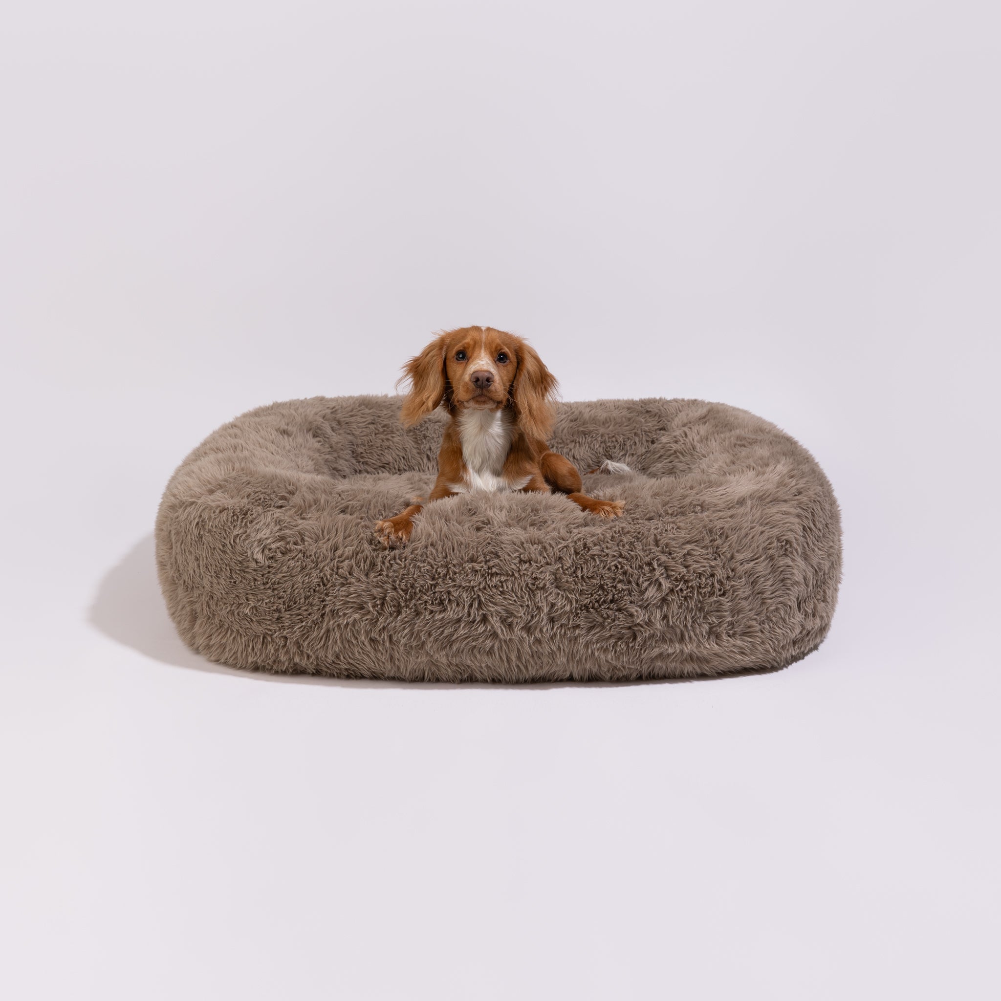 Pebble Flokati - pörröinen koiranpeti
