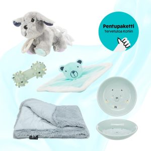 Pentupaketti - Tervetuloa Kotiin