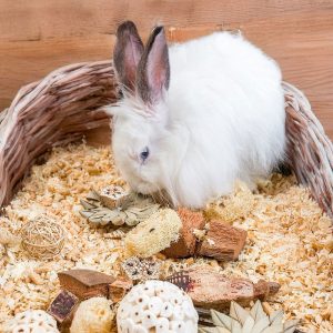 Quapas! Puuhalelulahjalaatikko