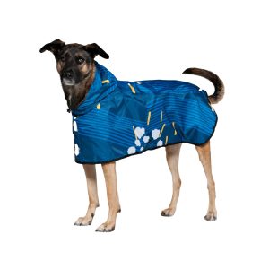 Rainkiss Koiranponcho