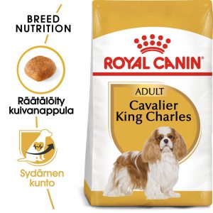 Royal Canin Cavalier Adult