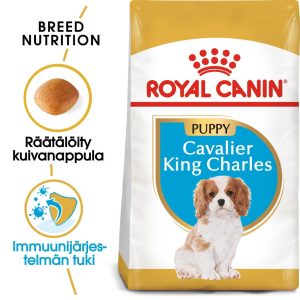 Royal Canin Cavalier Puppy 1