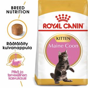 Royal Canin Maine Coon Kitten