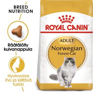 Royal Canin Norwegian Forest Cat