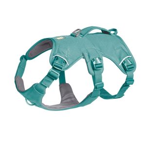 Ruffwear Web Master