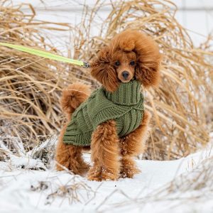 Rukka Wooly koiran neule