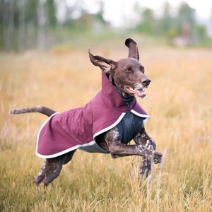 SporttiPomppa Maroon