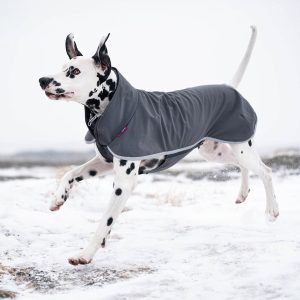 SporttiPomppa