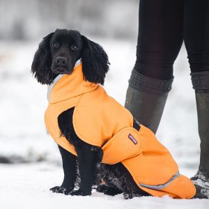 ToppaPomppa koiran talvitakki