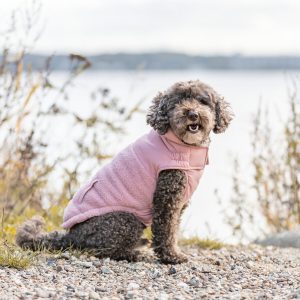 Trixie Ajou koiran talvitakki