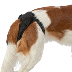 Trixie Comfort mesh juoksuhousut tarralla