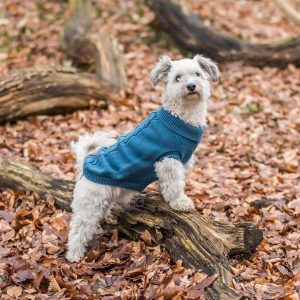 Trixie Kenton neule koiralle